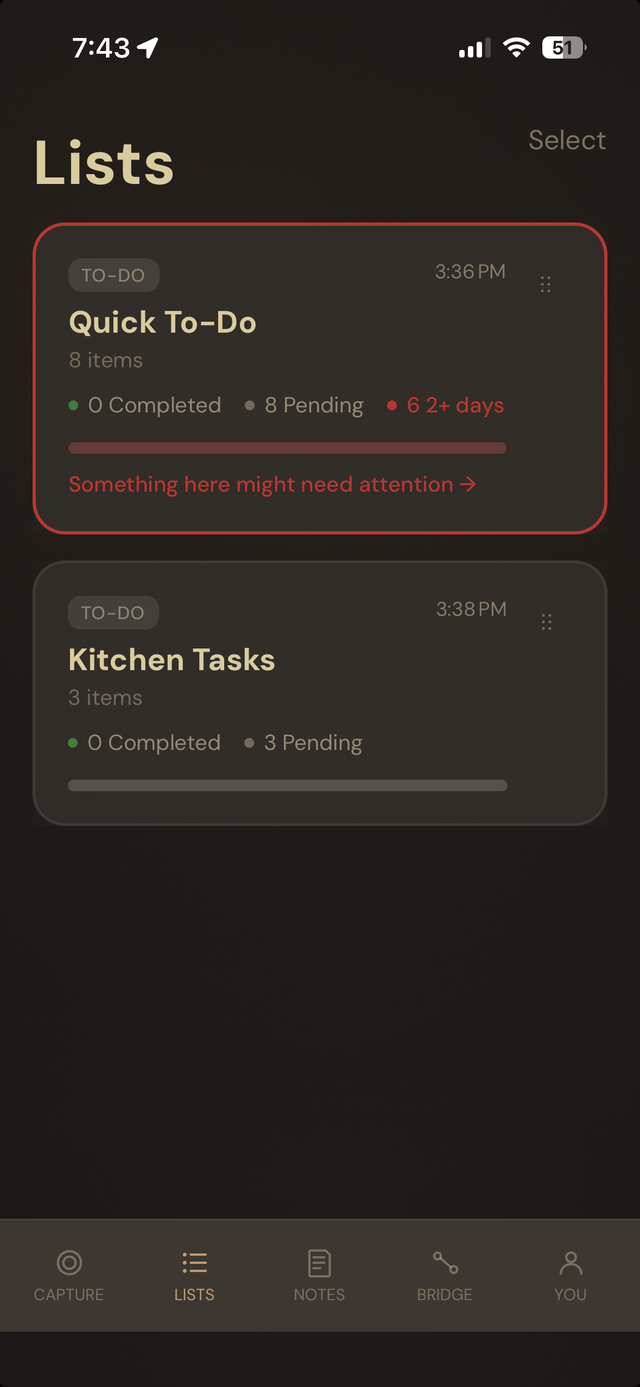 Hey Toru! Lists overview showing a flagged list and a clean list